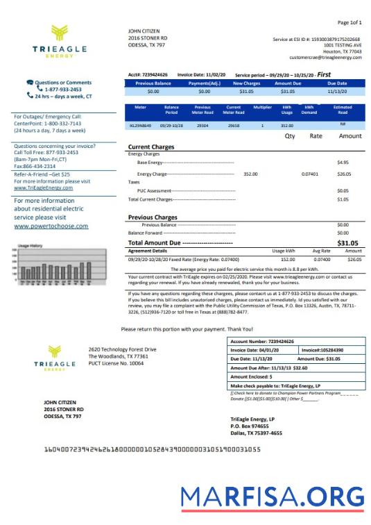 Realistic USA Texas TriEagle utility bill template in Word and PDF (.doc and .pdf) format